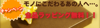 ��åԥ󥰥����ӥ�